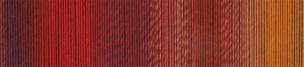 Zauberball Sock Yarn by Schoppel