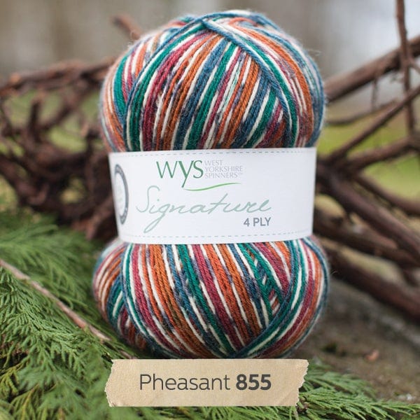 Signature 4Ply - Country Birds