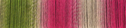 Zauberball Sock Yarn by Schoppel